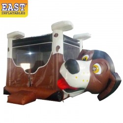 Brincolines Inflable Interior Brincolines Inflable Interior