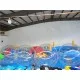 Bola De Agua Inflable Para Caminar Bola De Agua Inflable Para Caminar