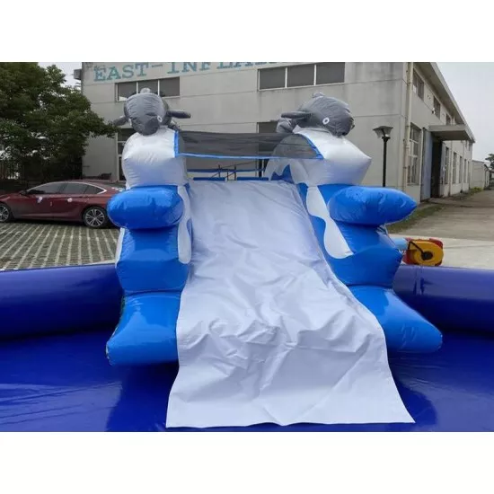 Parque Acuático Inflable Dolphin